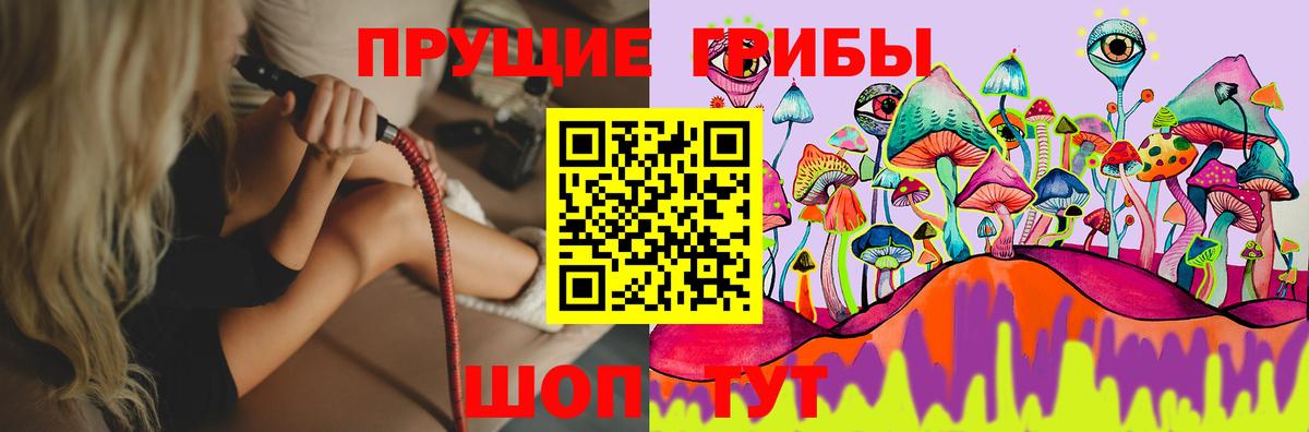 Урус-Мартан  Псилоцибиновые грибы мухоморы  Вход с VPN 