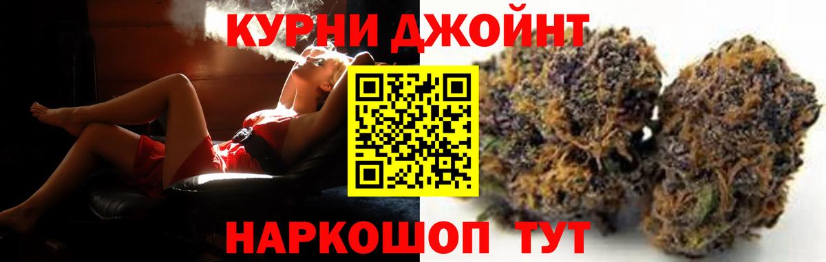 Марихуана индика  Каннабис сатива  МАРИХУАНА планчик  Вход с VPN  Урус-Мартан  Марихуана тримм 